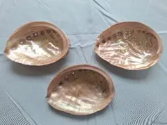 Item thumbnail for item 9ef51e41-42a5-4ed3-a886-33371fc9829f