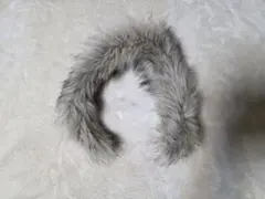 THE NORTH FACE サイズM アンタークティカパーカのファー