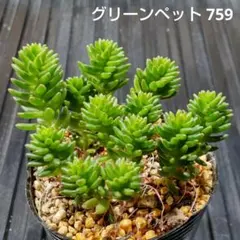 ❀るなこむ❀様 リクエスト 2点 まとめ商品