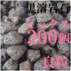 黒溶岩石 ミックス200個 【良粒】☆アクアリウム、テラリウム、コケリウムに最適