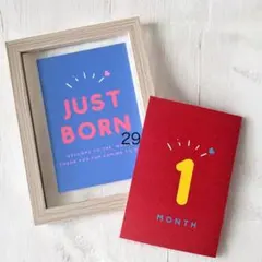 Item thumbnail for item 2dd8094e-5bac-456b-b28a-3aa9fd8e02f1