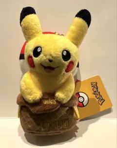 2026年最新】ピカチュウ 韓国 ぬいぐるみの人気アイテム - メルカリ
