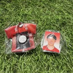 バレーボール男子日本代表 石川祐希 ガチャ ユニフォームミニフォトホルダー