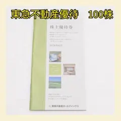 東急不動産ホールディングス 株主優待券100株のサムネイル