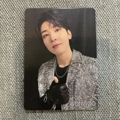 SEVENTEEN W会員 ウォヌ トレカ 公式