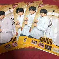 ガルボ×セクゾ中島健人・菊池風磨 ふまけんクリアファイル