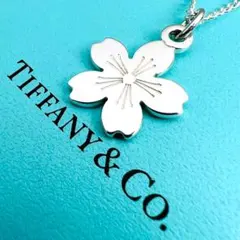 【極美品】TIFFANY ネックレス GO WOMEN 2015 シルバー925のサムネイル