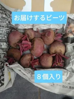 【匿名配送】朝採り サラダ 食用ビーツ …1kg以上 農薬不使用のサムネイル