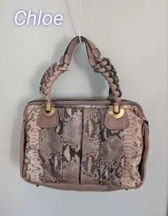 パイソン ハンドバッグ
