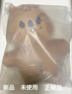 ハンクォッカ　スキズ　アンコン　DominATE standing skzoo