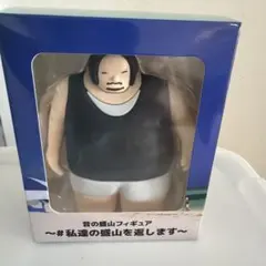 昔の盛山フィギュア