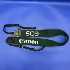 Item thumbnail for item c4344619-6b84-4ac4-9ed0-f11a18ed5cb2