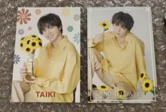 SUNFLOWER 佐藤大樹