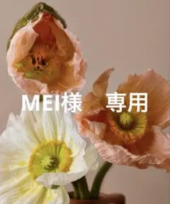 MEI様 リクエスト 2点 まとめ商品