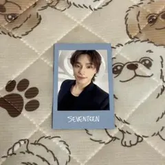 seventeen NEW インスタントフォト ディノ