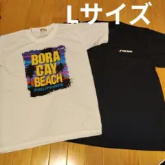 メンズ　Tシャツ　半袖　Lサイズ　春、夏、秋　まとめ売り
