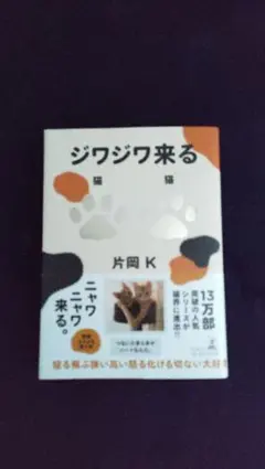 ジワジワ来る猫猫