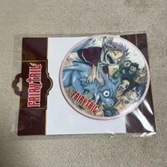 FAIRY TAIL フェアリーテイル ウェンディ 缶バッジ 54点 1726668580534-863628595?w=336&