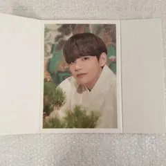 BTS ダルマジュン FLIP PHOTO テテ V フリップフォト