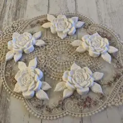 専用出品