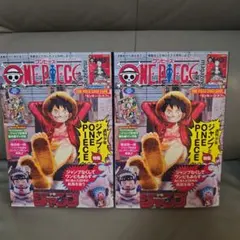 ワンピース マガジン 第20号 ルフィ プロモ カード付　2セット