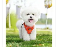 Item thumbnail for item 34154f8c-cd26-4159-8ac5-1ae8a635d630