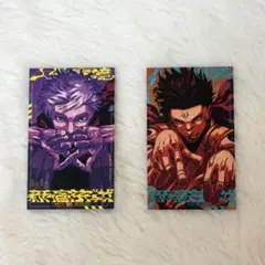 呪術廻戦≡モジュロ 2巻 特典 イラストカード 全2種2枚