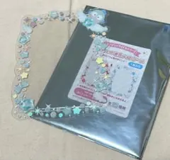 【即購入⭕️】 ハンギョドン 硬質カードケース