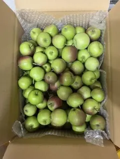 摘果りんご　5キロ　大分県九重町産のサムネイル