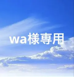 wa様専用