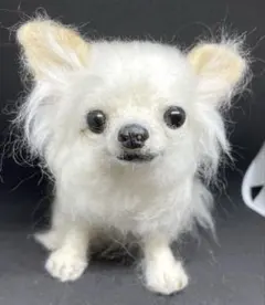 羊毛フェルト 羊毛犬 リラックスチワワ クリーム系 - メルカリ