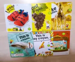 こどもちゃれんじ すてっぷ English　DVD 6枚セット