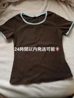 Api ブラウン ライトブルー Tシャツ Lサイズ