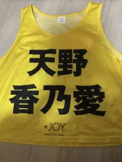 ニアジョイ ≒JOY 天野香乃愛 ビブス フリーサイズのサムネイル