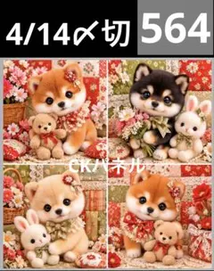 新柄♥️期間限定レアパネル生地 マルチーズパネル生地 9柄