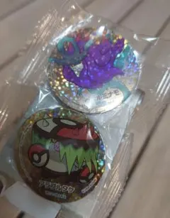 ポケモン　マグネット　2点セット