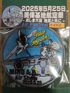 新品未使用】三沢基地 航空祭 F-16 デモチーム ワッペン - メルカリ