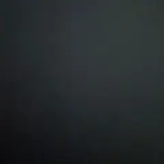 なんか頭につけると思うやつ