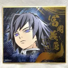 鬼滅の刃 冨岡義勇 ビジュアル 色紙コレクション 箔押し