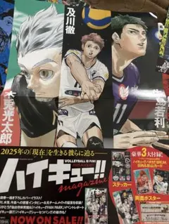【超希少】ハイキュー!! マガジン 非売品販促ポスター