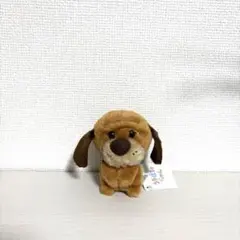 ディズニーストア　うるぽちゃちゃん　わんわん物語　トラスティ　福袋