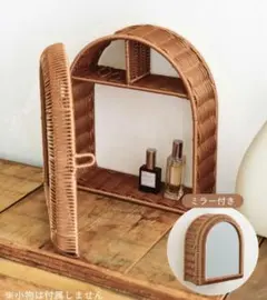 salut! サリュ PEラタンミラー付き収納