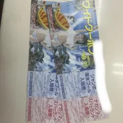 ナガシマスパーランドワイドクーポン2セットのサムネイル