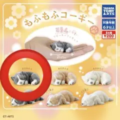 Item thumbnail for item ef157162-e68a-4e66-8f4e-aa36de26c8a5