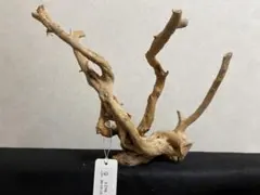 アクアリウム　流木　ブランチウッド　ホーンウッド L2758