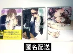 BL小説 凪良ゆう 美しい彼シリーズ 3巻セット