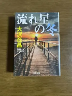 kubotatsu様 リクエスト 2点 まとめ商品