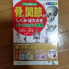 Item thumbnail for item 6bd173c7-d9da-41d9-ba8b-7a413730993c