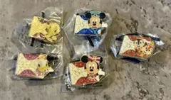 新品　東京ディズニーリゾート 35周年　ピンバッジ 5種セット