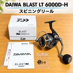 Daiwa BG SW 6000D-H スピニングリール - メルカリ